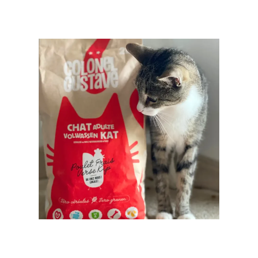 Croquettes Chat - Poulet - sans céréales