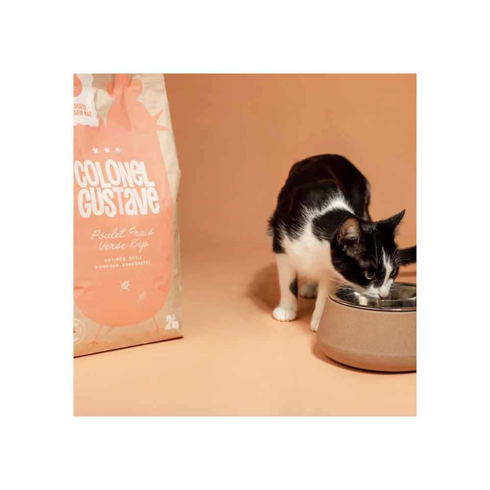 Croquettes Chat - Poulet - sans céréales