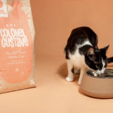 Croquettes Chat - Poulet - sans céréales