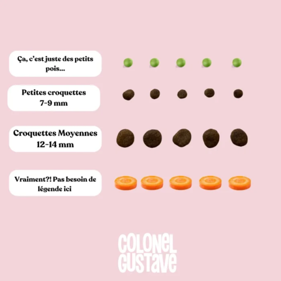 Croquettes Moyen & Grand Chien - Porc/poulet