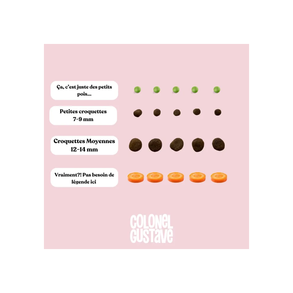 Croquettes Moyen & Grand Chien - Porc/poulet