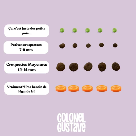 Croquettes Petit Chien - Porc/poulet