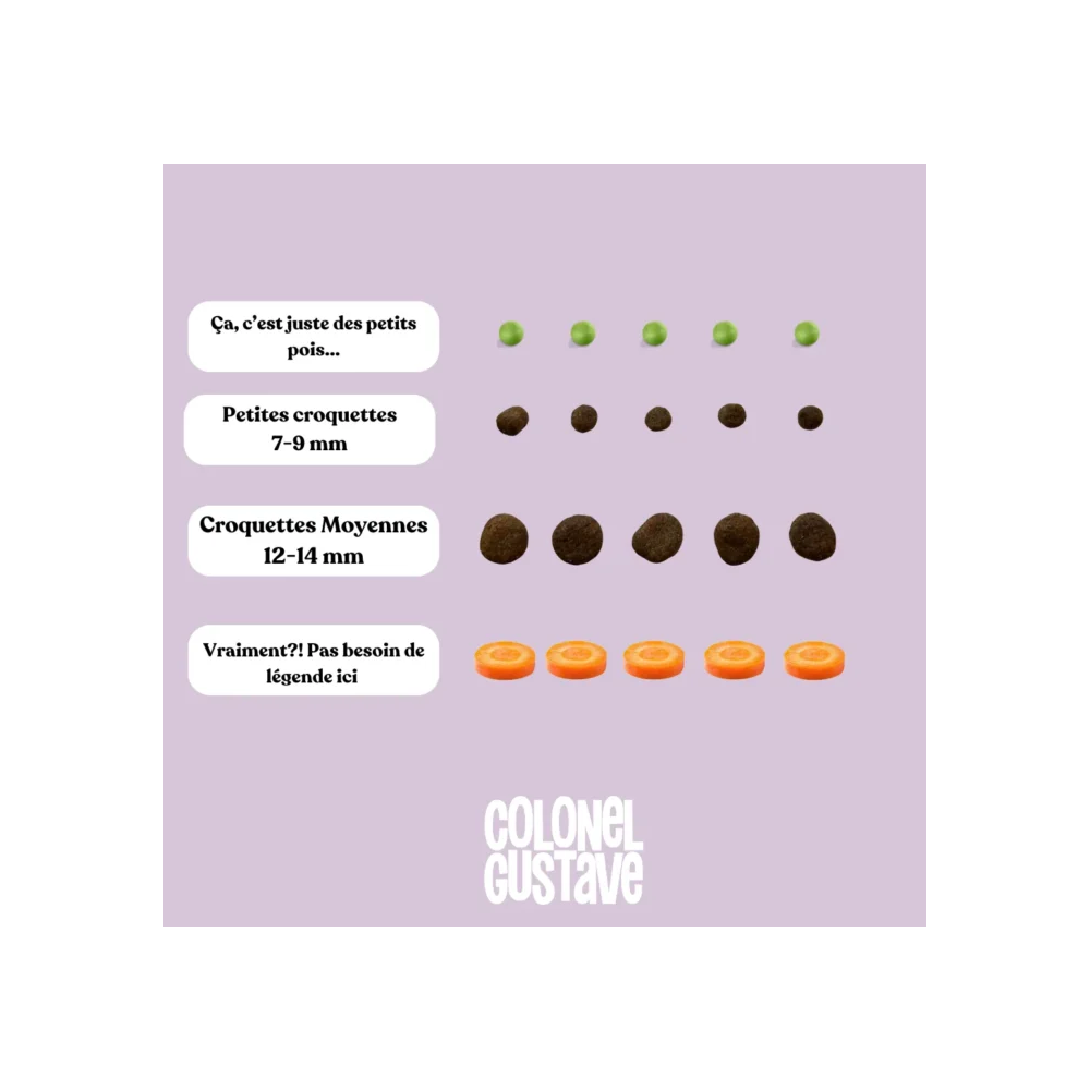 Croquettes Petit Chien - Porc/poulet