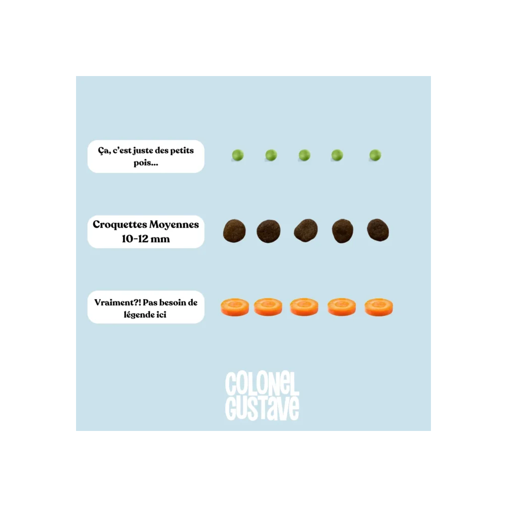 Croquettes Light Chien adulte - Porc/poulet