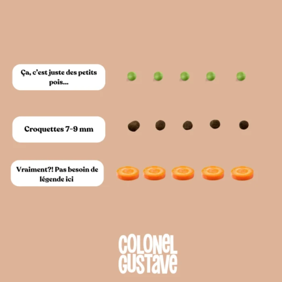 Croquettes Urinary - Chat Stérilisé - Porc/poulet