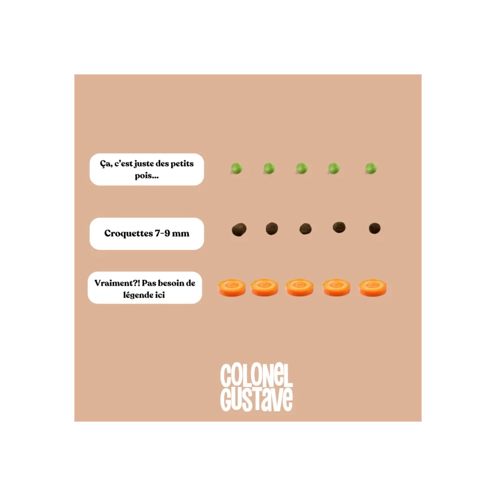 Croquettes Urinary - Chat Stérilisé - Porc/poulet