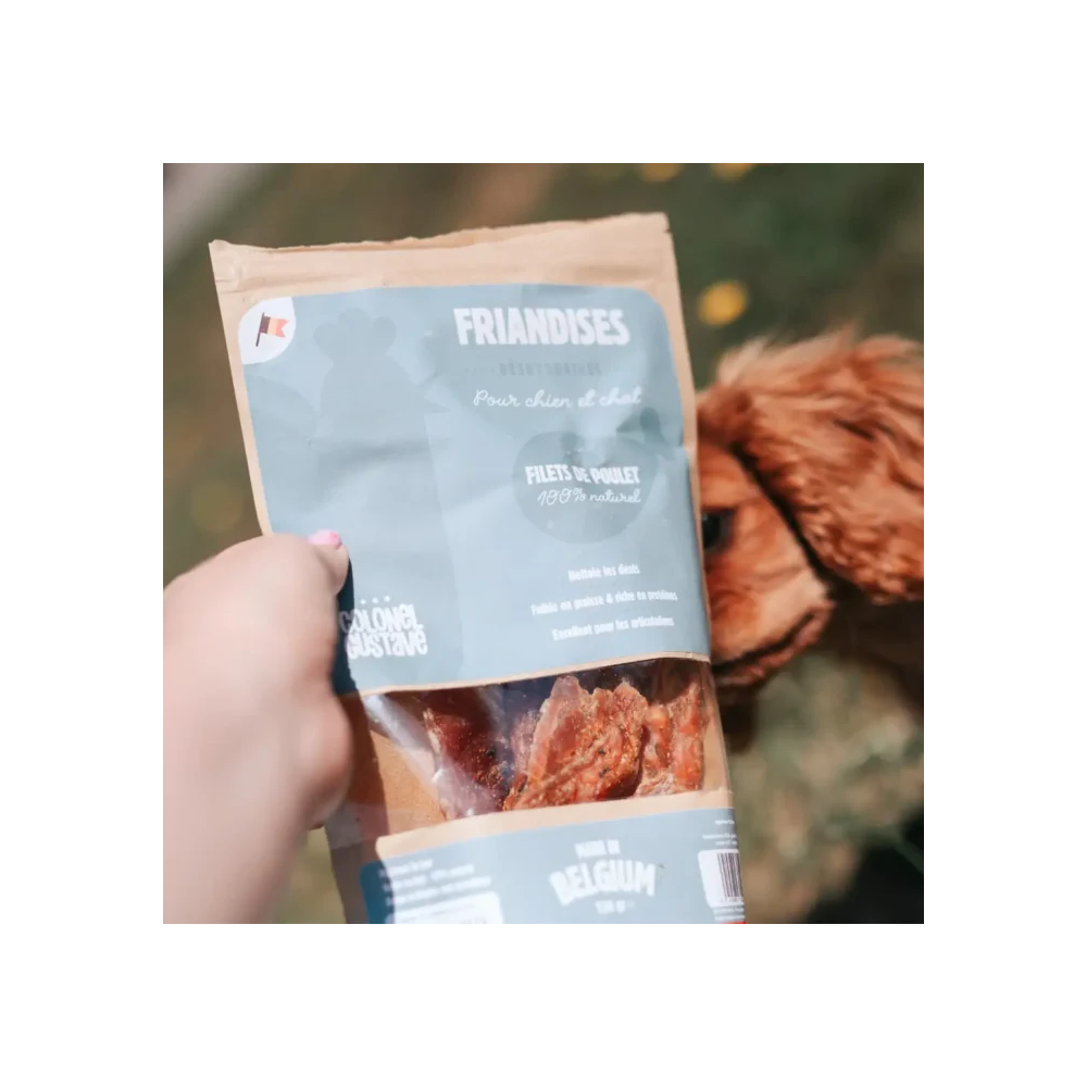 Friandises Chien & Chats - Filets de Poulet déshydratés