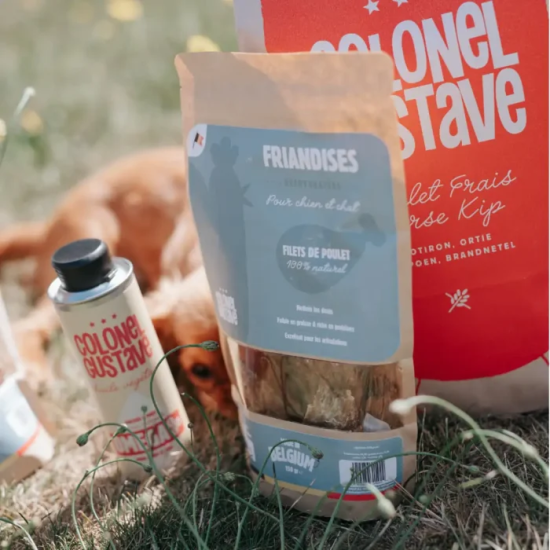 Friandises Chien & Chats - Filets de Poulet déshydratés