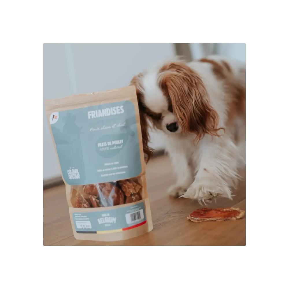 Friandises Chien & Chats - Filets de Poulet déshydratés