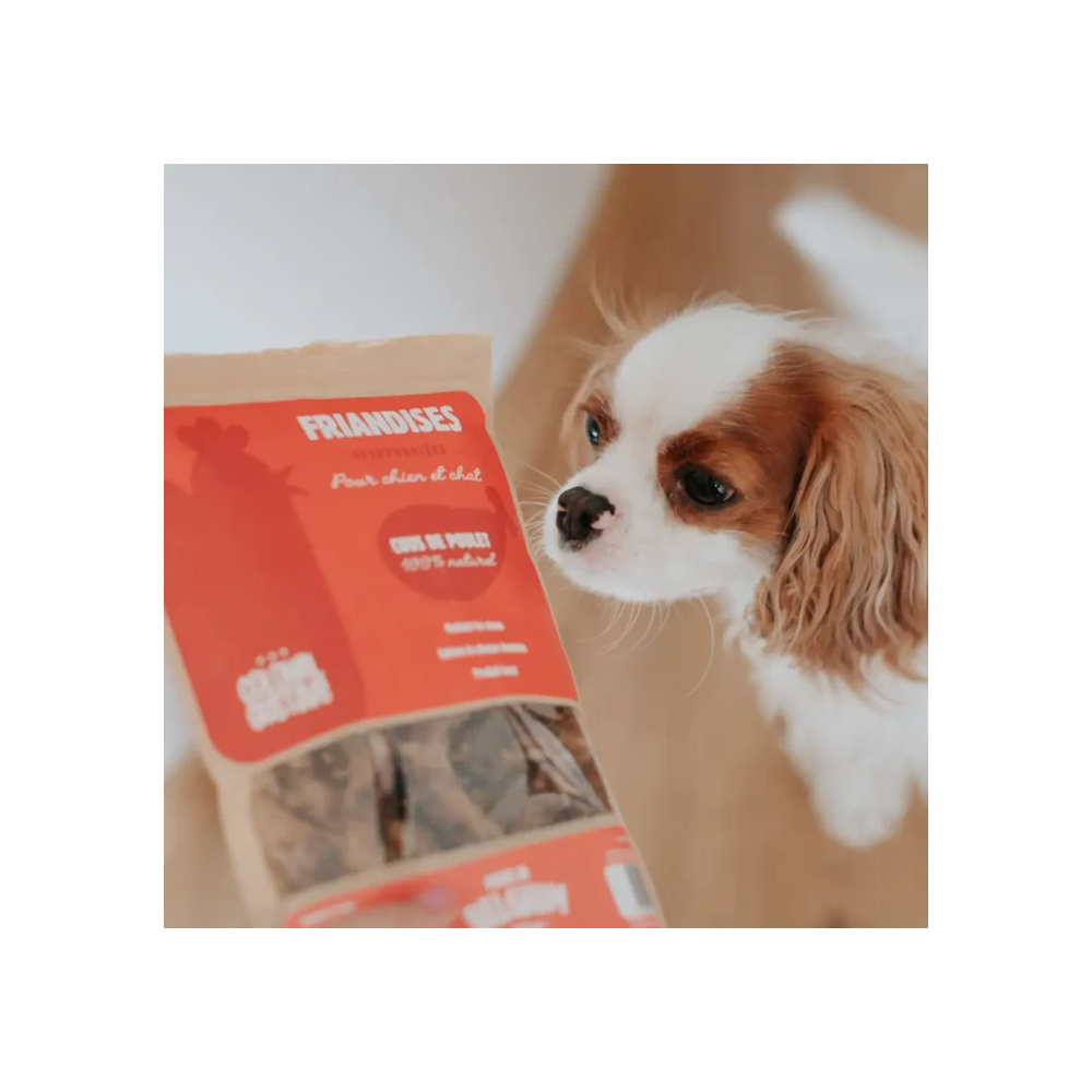 Friandises Chien - Cous de Poulet séchés