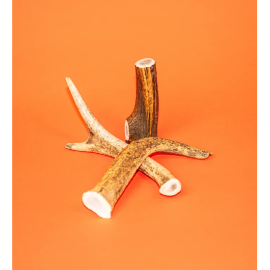 Friandises Chien - Bois de cerf