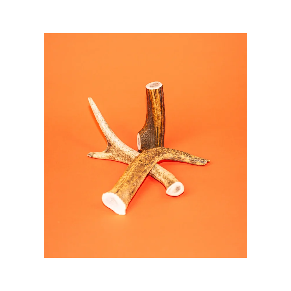 Friandises Chien - Bois de cerf