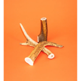 Friandises Chien - Bois de cerf