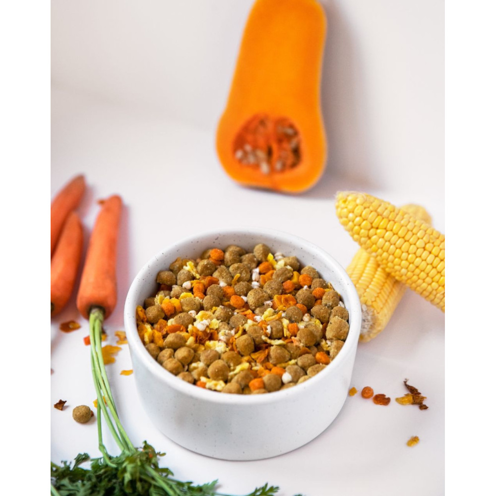 Croquettes végétariennes Chien - Citrouille, Maïs, Carotte & Sarrasin