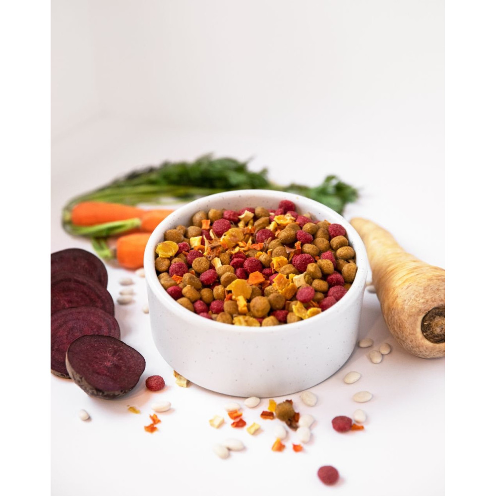 Croquettes végétariennes Chien - Betterave, Panais, Haricot & Carotte