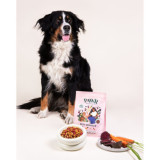 Croquettes végétariennes Chien - Betterave, Panais, Haricot & Carotte